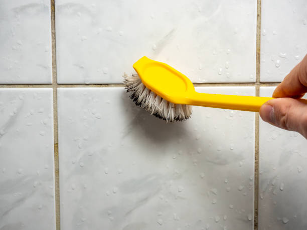 Best Mold Remediation  in Porterville, CA