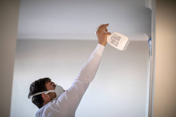Best Black Mold Removal  in Porterville, CA