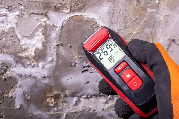 Best Toxic Mold Removal  in Porterville, CA