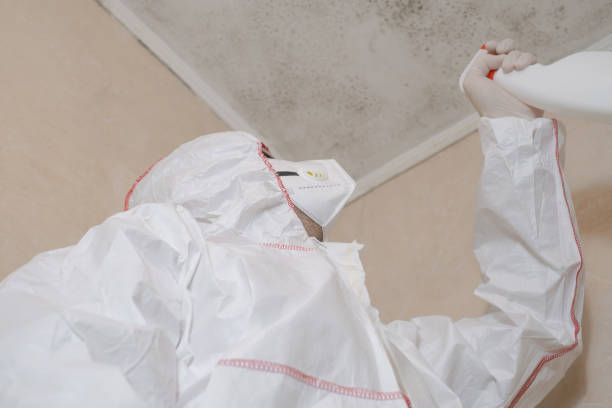 Best Local Mold Removal Service  in Porterville, CA