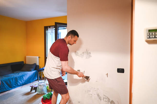 Best Same-Day Mold Removal  in Porterville, CA